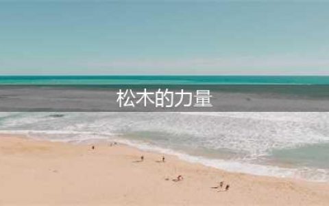 魔兽世界松木的力量任务怎么做 怀旧服wlk松木的力量任务攻略
