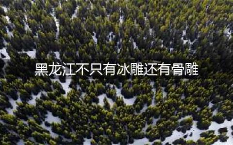 不只有冰雕，几千年前的“东北人”，还能把它整“活”了(黑龙江不只有冰雕还有骨雕)