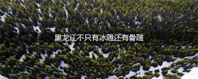 不只有冰雕，几千年前的“东北人”，还能把它整“活”了(黑龙江不只有冰雕还有骨雕)