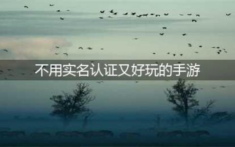 不用实名认证的吃鸡游戏有哪些 不用实名又好玩的吃鸡手游下载(不用实名认证又好玩的手游)