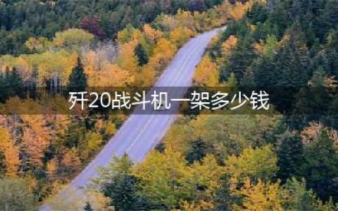 歼20一架的造价估计是多少？(歼20战斗机一架多少钱)