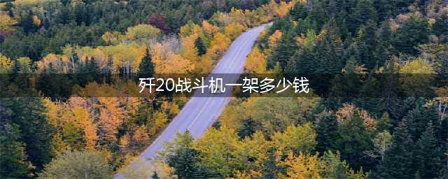 歼20一架的造价估计是多少？(歼20战斗机一架多少钱)