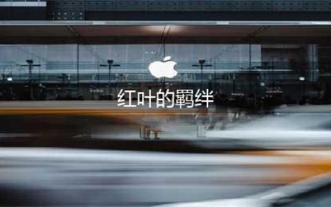 《阴阳师》红叶的羁绊副本通关攻略