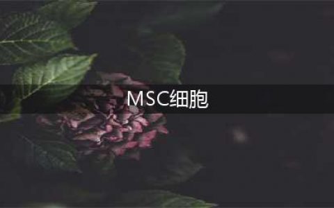 间充质干细胞（mesenchymal stem cell，MSC）概述(MSC细胞)