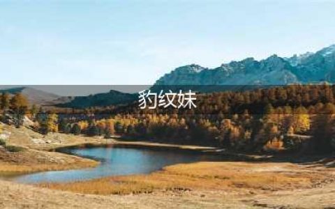 时尚美丽的豹纹少女，简约而不简单的美！(豹纹妹)