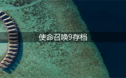 《使命召唤9》存档 如何备份和恢复游戏进度