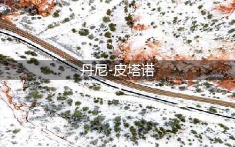 美昔日童星染艾滋病确诊阳性12年 已出柜18年(丹尼-皮塔诺)