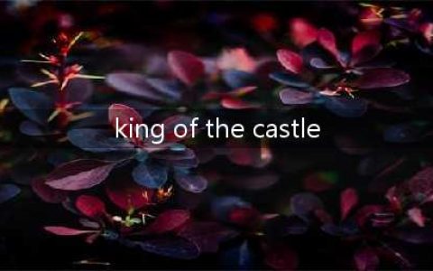 伴读 | 牛津树【DD3-07】King of the castle(king of the castle)