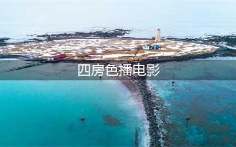 网站播色情电影(四房色播电影)