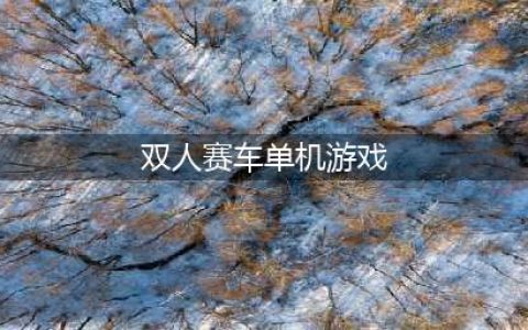2022双人赛车单机游戏有哪些 超火的赛车类单机手游推荐(双人赛车单机游戏)
