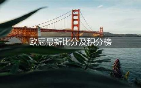 开云爆料：欧洲杯体育决赛时间表和晋级比分图全览！最新更新(欧冠最新比分及积分榜)
