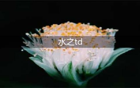 魔兽争霸3水之TDX单通N4及以下达SSS评分各职业必胜攻略