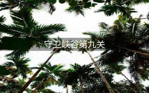 王者荣耀守卫峡谷第9关怎么过 第9关过关技巧