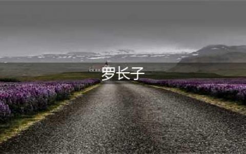 为什么罗瑞卿的雅号叫“罗长子”？(罗长子)