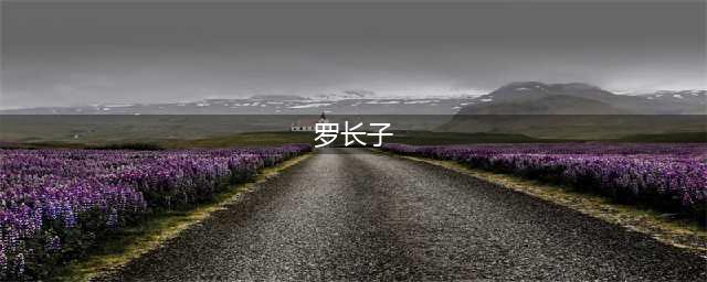 为什么罗瑞卿的雅号叫“罗长子”？(罗长子)