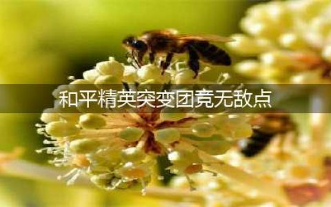 和平精英突变团竞2.0无敌点有哪些 和平精英突变团竞2.0无敌点介绍