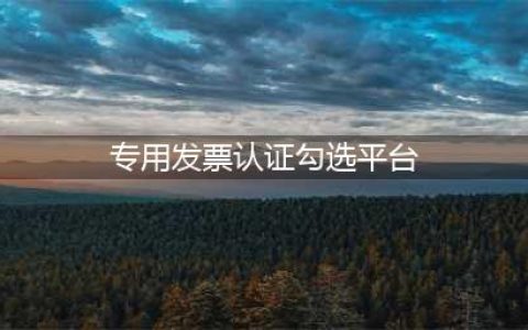 增值税专用发票勾选认证(专用发票认证勾选平台)
