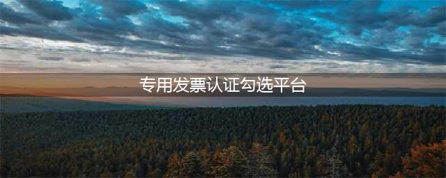 增值税专用发票勾选认证(专用发票认证勾选平台)
