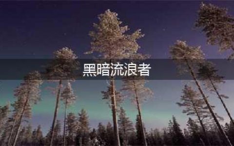 黑暗流浪者好玩吗 黑暗流浪者简介(黑暗流浪者)