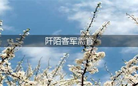 《魔兽世界》阡陌客军需官在哪里(阡陌客军需官)