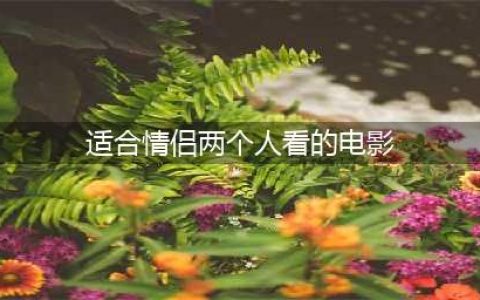 8部适合情侣看的高分电影，让人脸红心动！(适合情侣两个人看的电影)