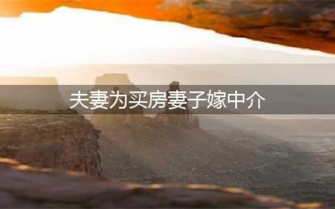 你不知道的买房奇葩事：夫妻为买房妻子嫁中介(夫妻为买房妻子嫁中介)
