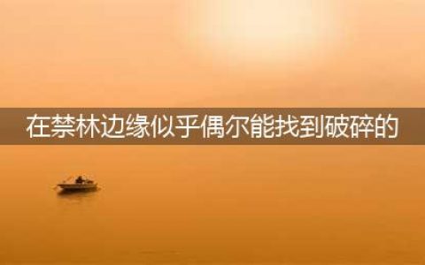 《哈利波特魔法觉醒》在禁林边缘似乎能偶尔找到破碎的福特车的零件拼图在哪里