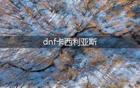 《dnf》卡西利亚斯的决斗领域活动一览