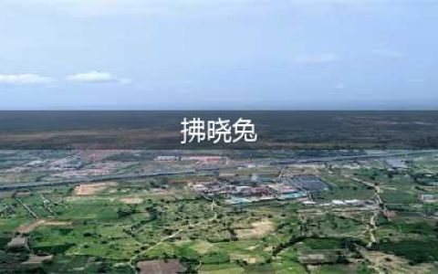 赛尔计划四星角色拂晓兔角色如何 四星角色拂晓兔强度解析