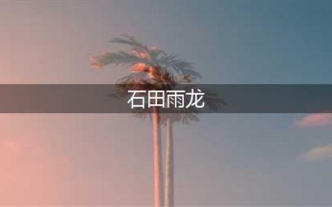 《境界斩魂之刃》现世组伙伴石田雨龙详细资料(石田雨龙)