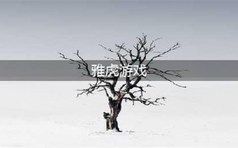 女性向手游《美男战国》登陆雅虎游戏平台(雅虎游戏)