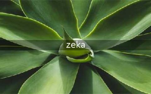 《LOL》Zeka是谁 Zeka选手个人资料一览(zeka)