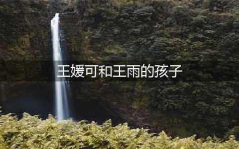 演员王媛可，28岁嫁王雨，生一对双胞胎儿子，幸福圆满(王媛可和王雨的孩子)