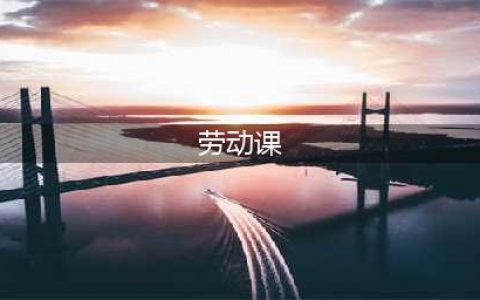 劳动课 | 成为必修课后，我们的劳动课该怎么上？(劳动课)