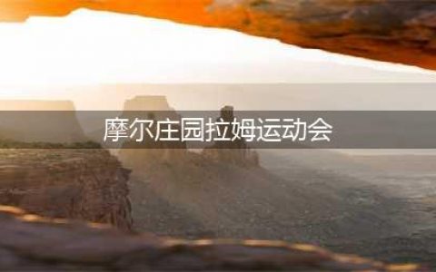 摩尔庄园拉姆运动会玩法攻略