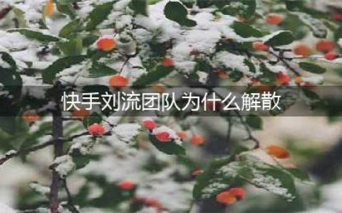 刘流为什么退出赵本山的本山传媒公司？(快手刘流团队为什么解散)