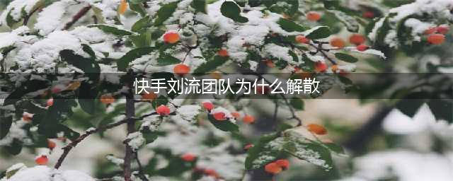 刘流为什么退出赵本山的本山传媒公司？(快手刘流团队为什么解散)
