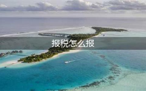 手把手教你如何在电子税务局进行税费申报及缴纳(报税怎么报)