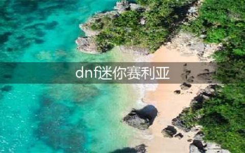 DNF2023缘定永恒宠物属性一览 DNF2023缘定永恒宠物怎么样