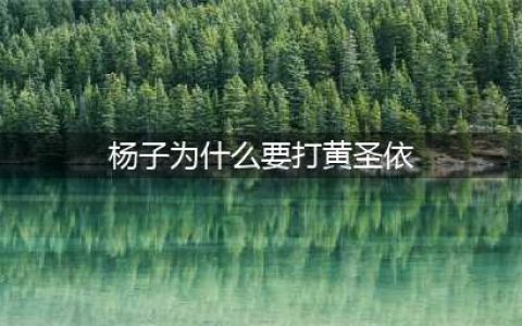 杨子为什么要打黄圣依？广东本科生拍手称赞(杨子为什么要打黄圣依)