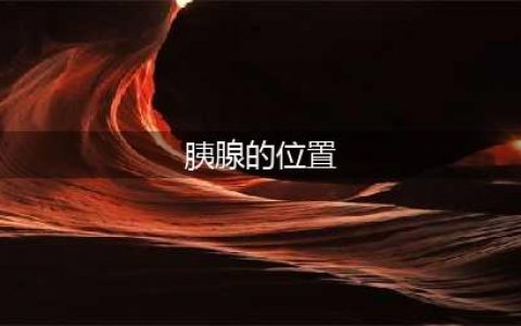 胰腺：一个得罪不起的器官，有三种信号要警惕！(胰腺的位置)