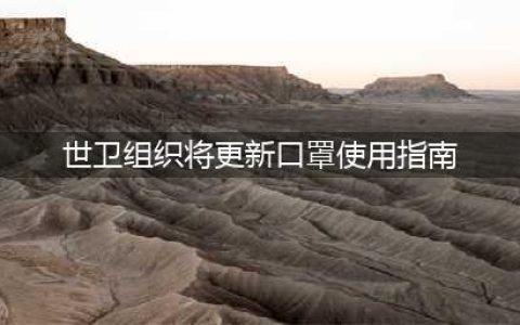 世卫组织更新口罩使用指南(世卫组织将更新口罩使用指南)