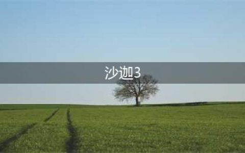 《浪漫沙加3》重置版要什么配置 重制版配置要求表一览(沙迦3)