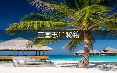 三国志11威力加强版秘籍 火攻技巧(三国志11秘籍)