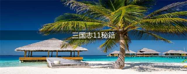 三国志11威力加强版秘籍 火攻技巧(三国志11秘籍)