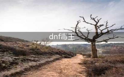 《DNF》2021女毒王技能怎么点 女毒王技能加点推荐(dnf毒王)