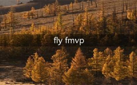 王者荣耀fly的fmvp皮肤介绍