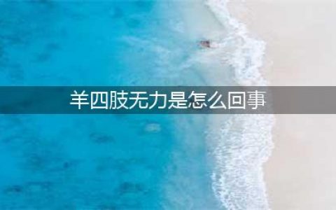 小羊羔四肢无力发软怎么回事？羊羔浑身发软什么病？快来学习吧(羊四肢无力是怎么回事)