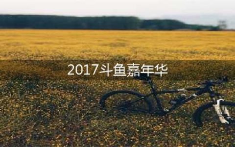 2017斗鱼TV嘉年华全新打响 游戏的节日(2017斗鱼嘉年华)