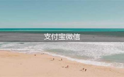 微信支付与支付宝的全面对比：哪个更适合您的需求？(支付宝微信)